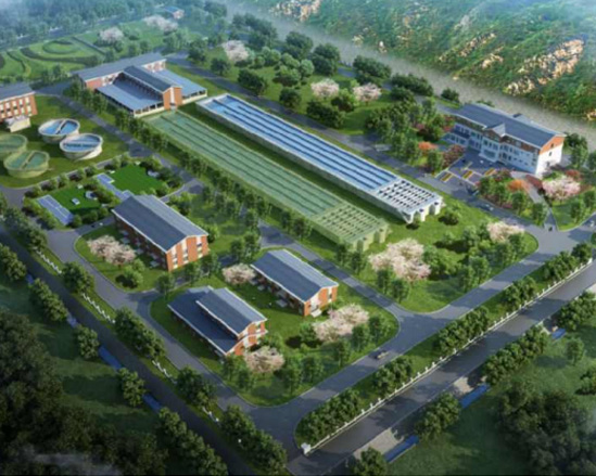 罗田水厂新建工程